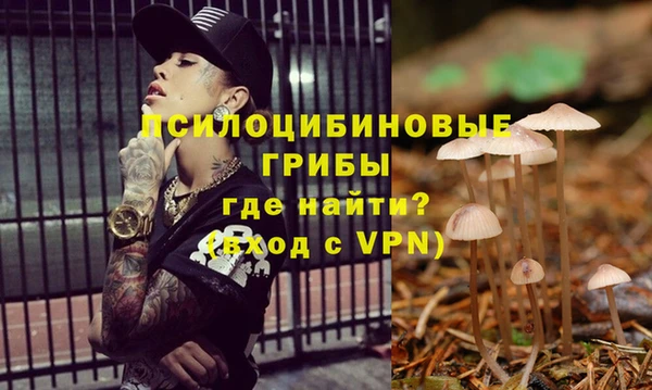дмт Дмитровск