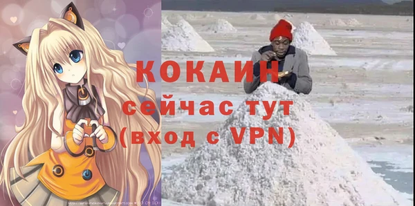 дмт Дмитровск