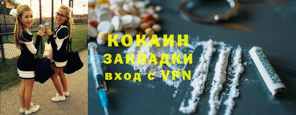 дмт Дмитровск